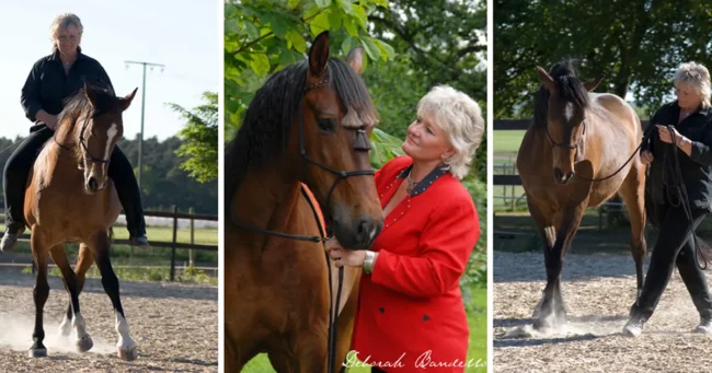 Judith Mauss Judith Mauss