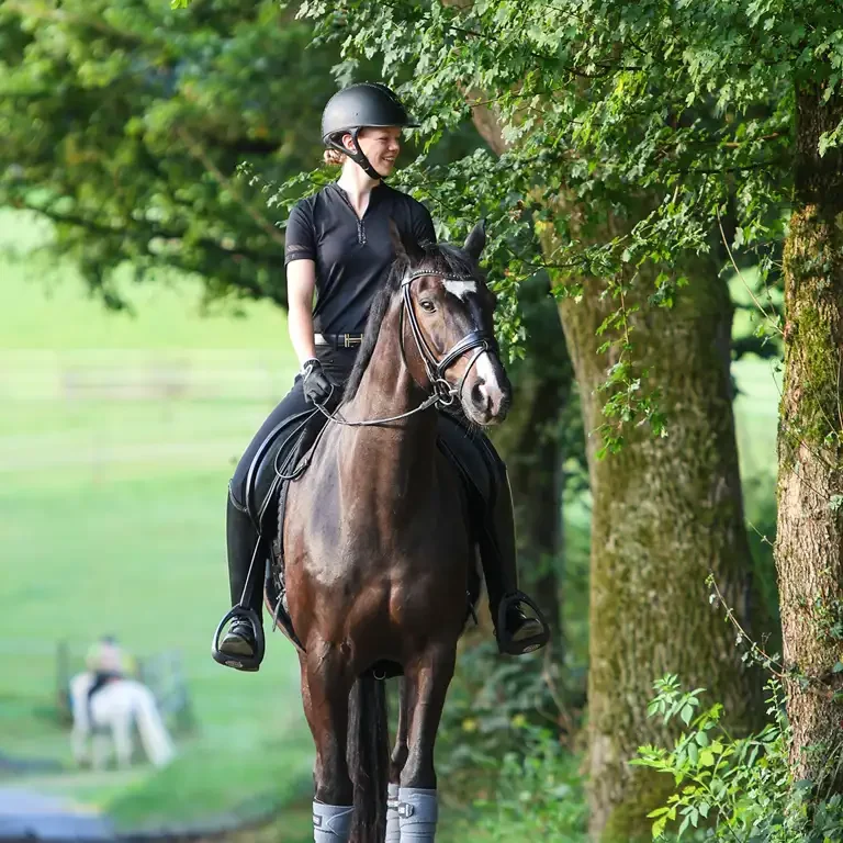 Ausreitgelände direkt angrenzend