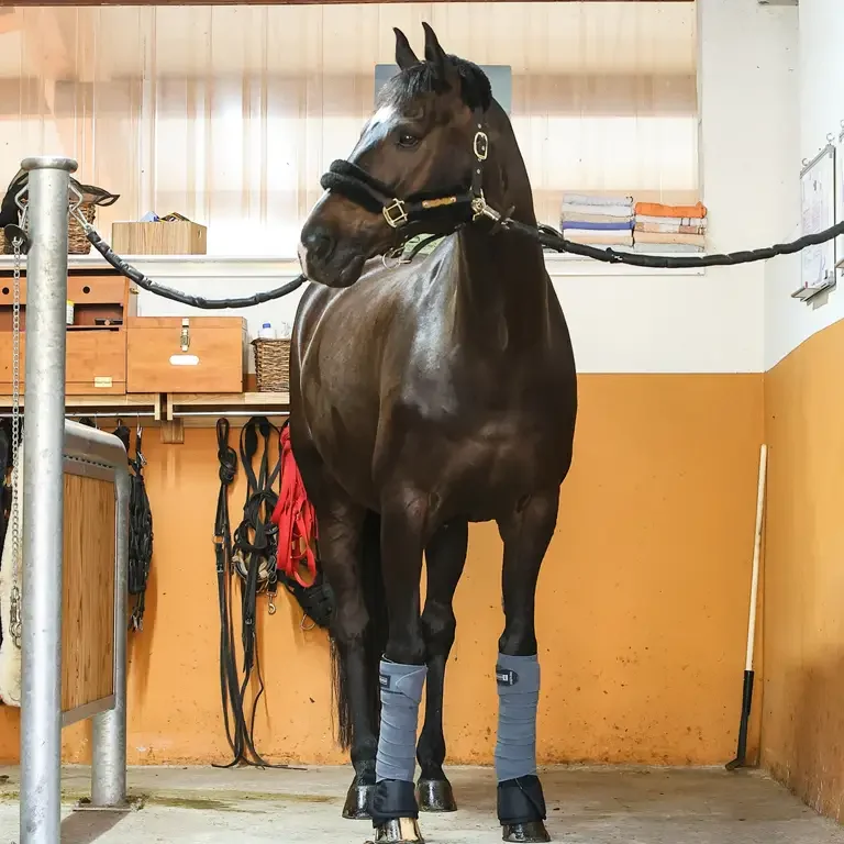 Putzplatz mit beidseitiger Anbindung