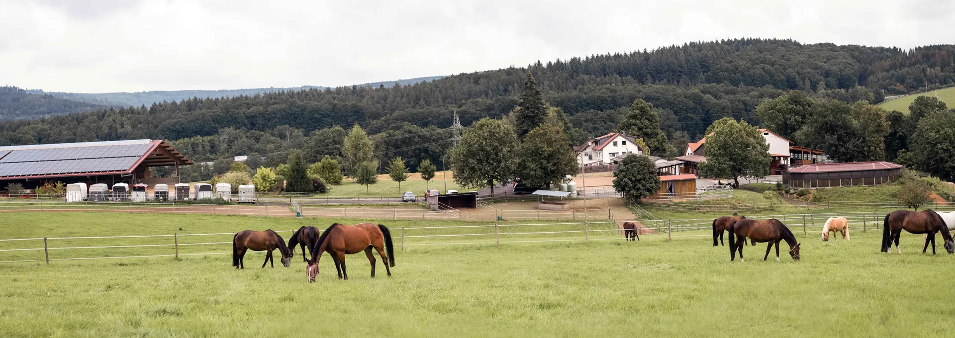 Reitanlage Loewelsberg bei Frankfurt