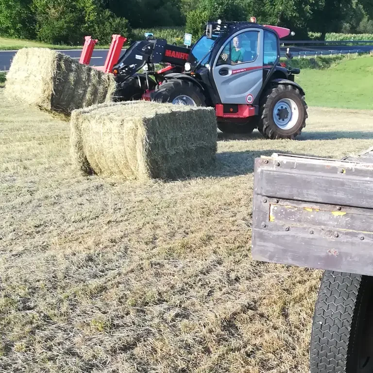 Abtransport Quaderballen