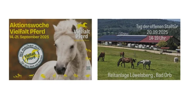 Aktion Vielfalt Pferd