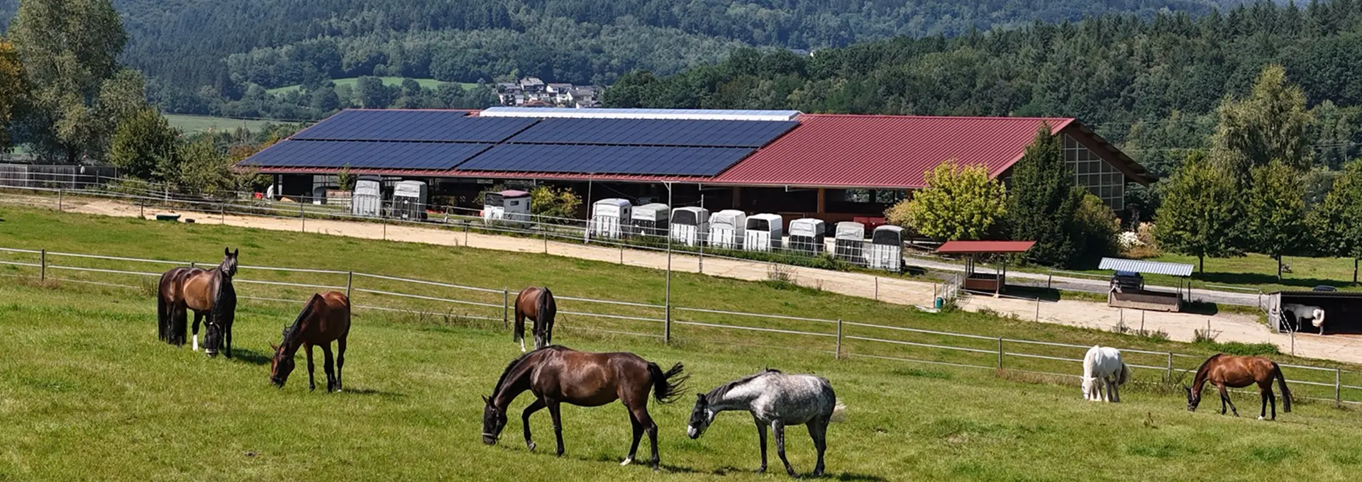 Reitanlage Loewelsberg_nahe bei Frankfurt